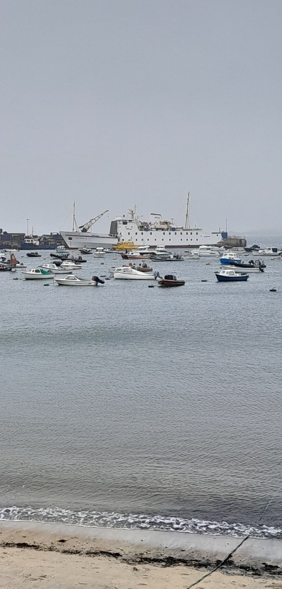 Good trip back on the Scillonian yesterday with lots to see.At least 208 Gannet,40 Manx,3 Great,6 Corys,lovely Sooty Shearwater,2 Great Skua one very close to the ship and a sprinkling of Dolphins.