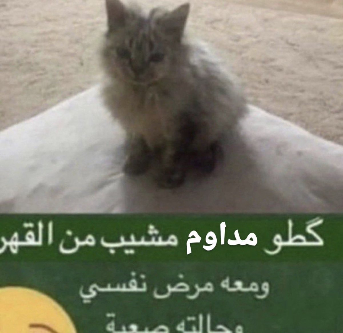 ماصدقت على الله انام بدري عشان اكون مصحصح لمحاضره الساعه ٨ بس صحيت الساعه ٣ الفجر من ازعاج الروميت