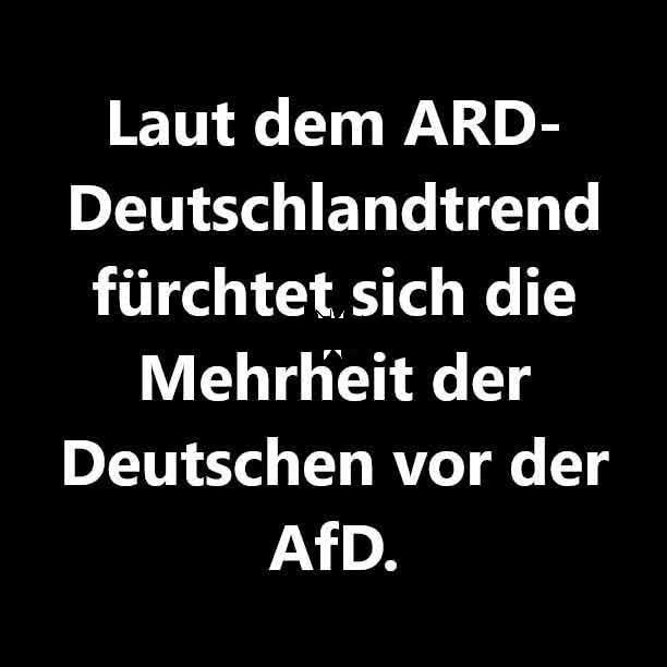 Connie 🐈‍⬛❣️ tweet media