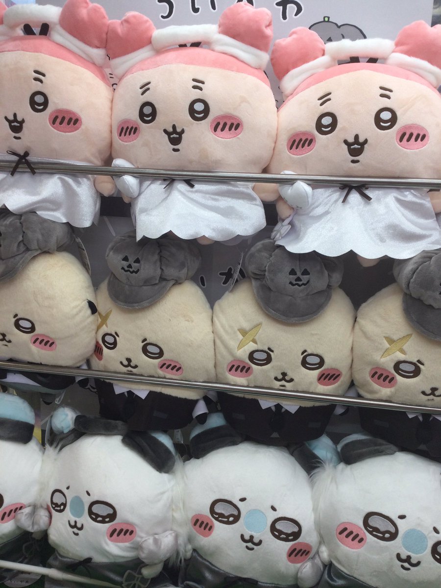 ソラネコ　ぬいぐるみBIG ソラネコ ぬいぐるみ サンエックス