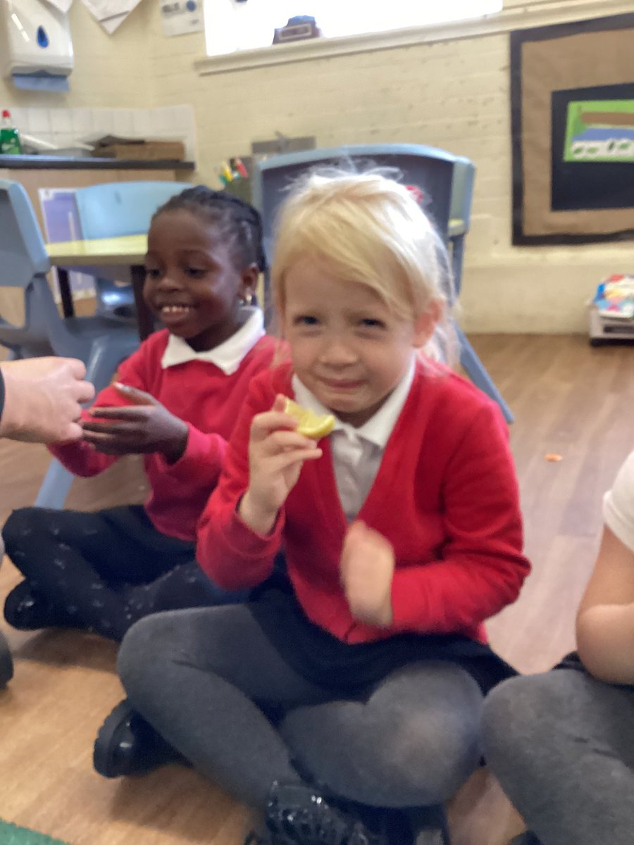 HaxbyRoadEYFS tweet media