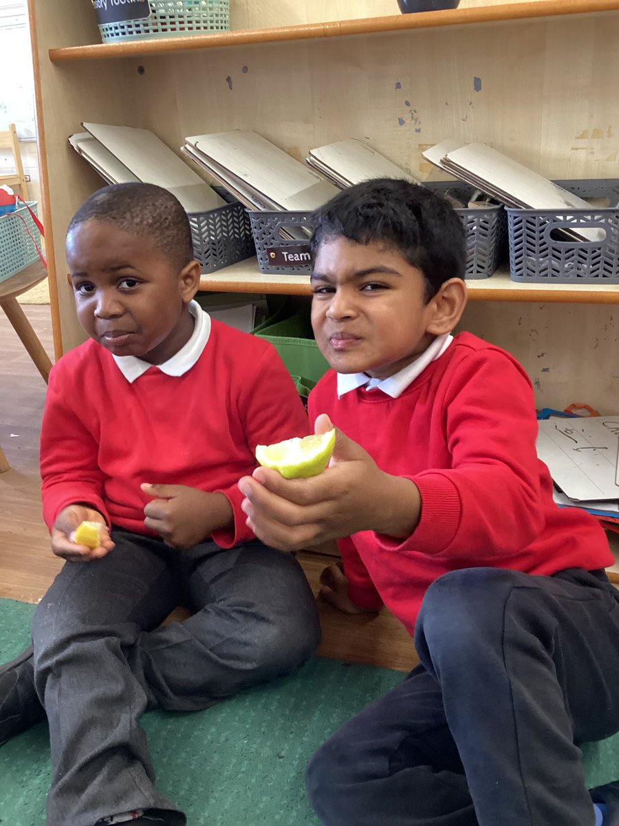 HaxbyRoadEYFS tweet media