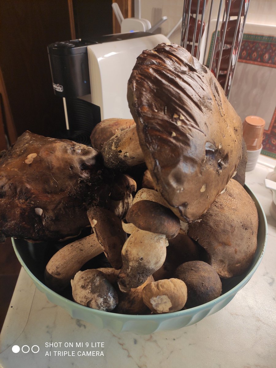 Regali profumati ❤️