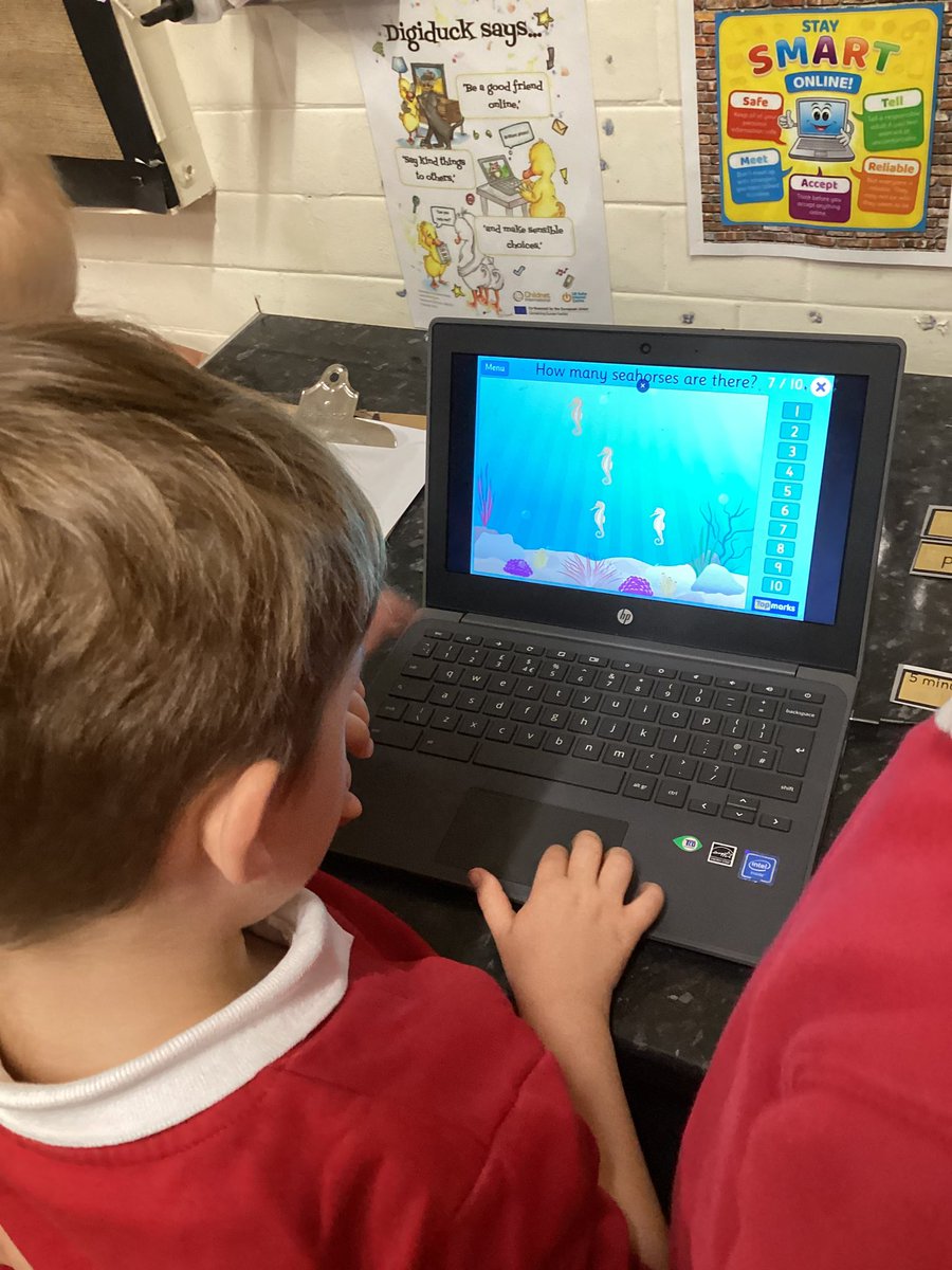 HaxbyRoadEYFS tweet media