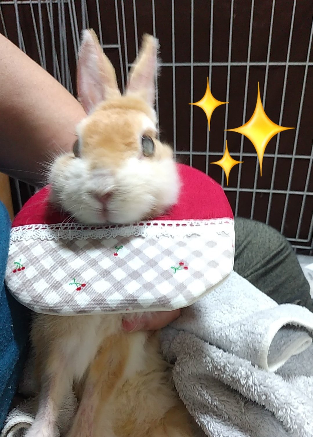 チビ太のママ様⋆͛*͛ ͙͛✧☽⋆゜オーダー品⋆͛*͛ ͙͛⋆͛ᐝ·̩͙ チビ太(CHIBITA🐰)のママ太 on X: 