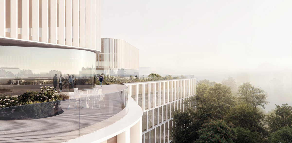 Daniel Sazonov tweet media