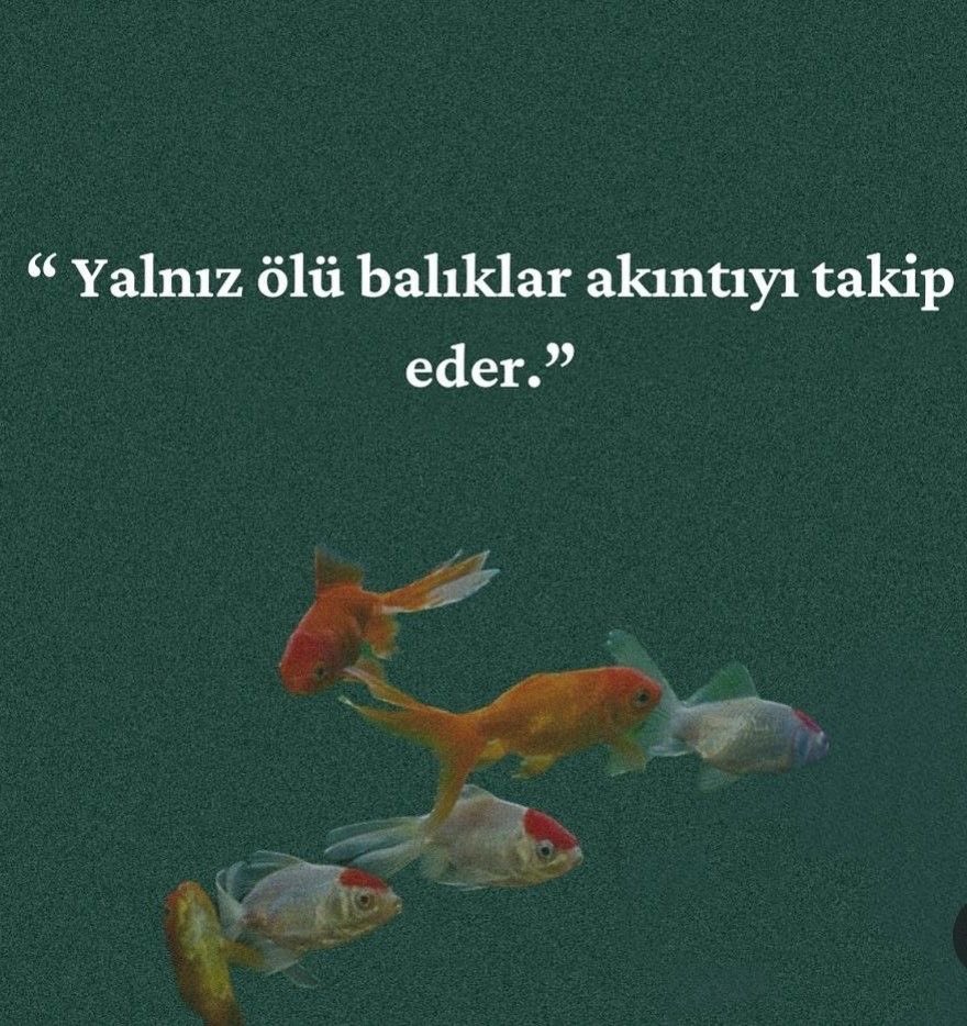 opheliart_1's tweet photo. https://t.co/mfuZGx0Xye