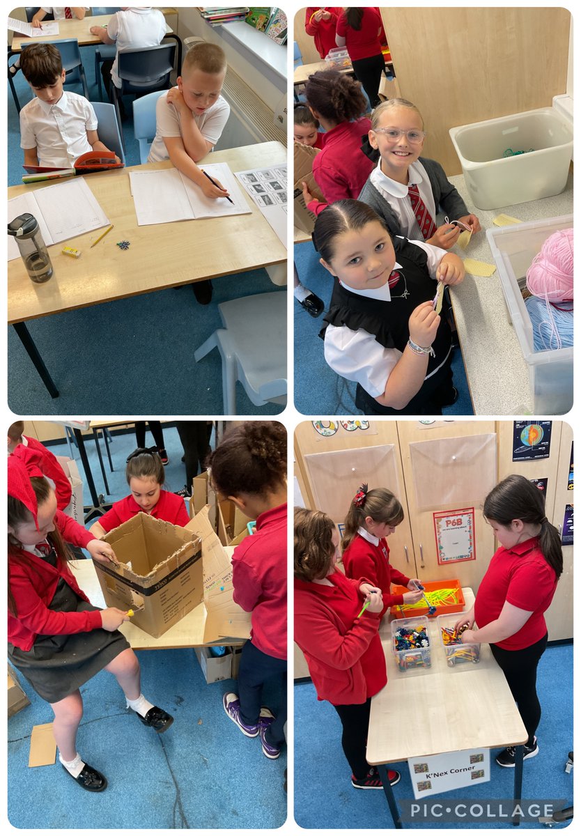 Primary 5B learned all about how we can classify objects, humans and animals. We looked at different characteristics such as vertebrate and invertebrates and then further categorised based on this.
