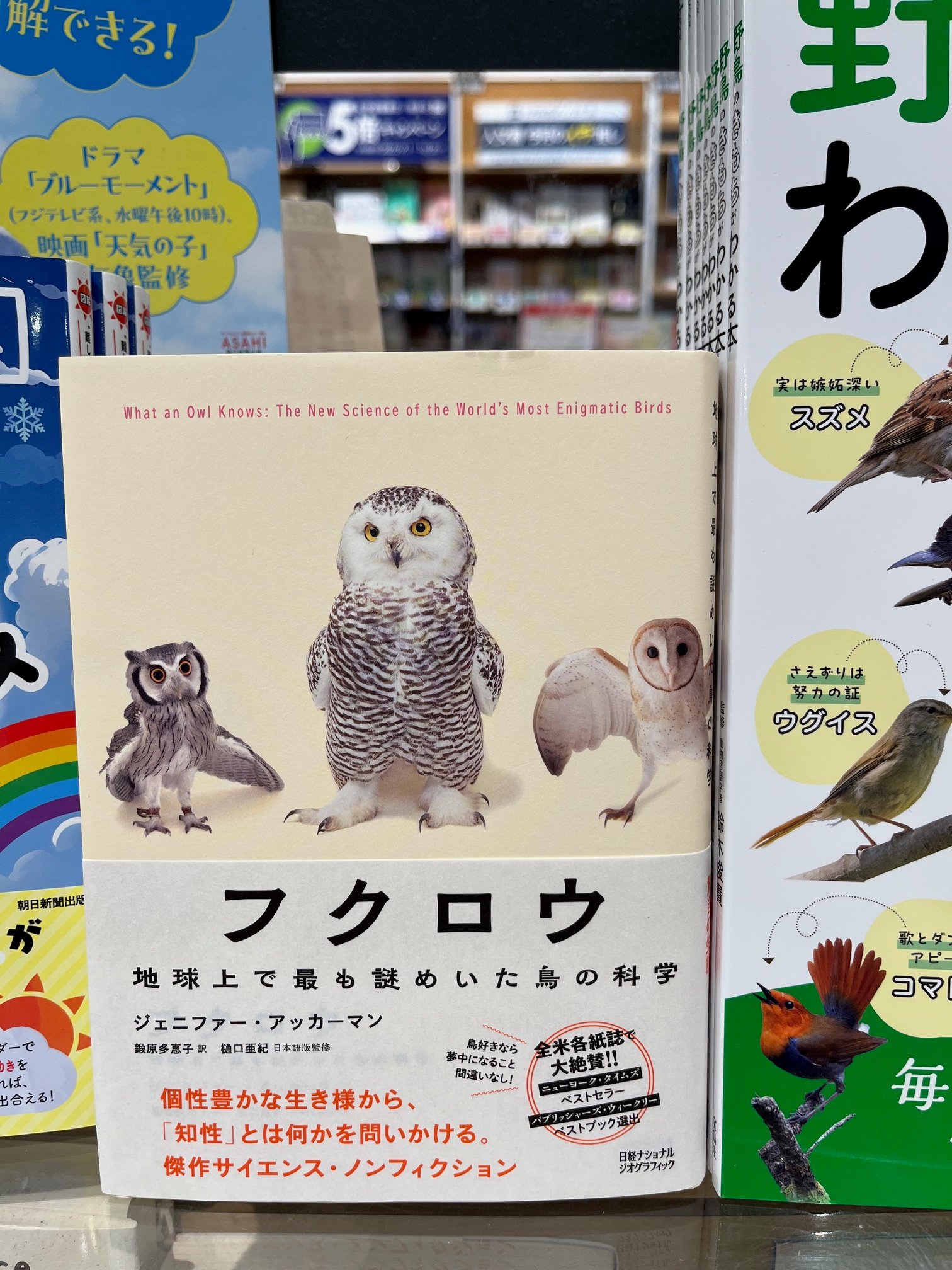 【中古】 めんそーれ沖縄！ 新天地沖縄と物外館の思い出/蛙ブックス/エルニーニョ深沢 紀伊國屋書店 前橋店 on X: 
