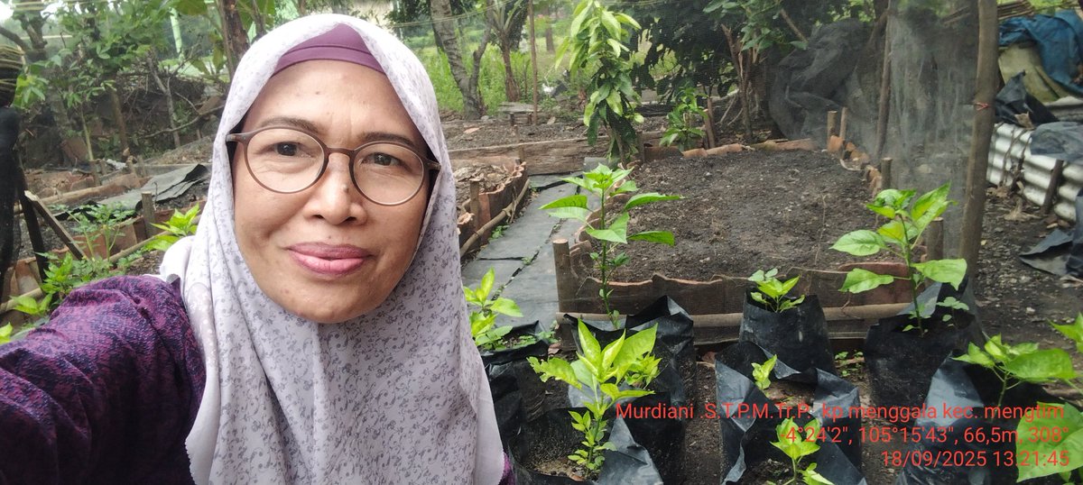 murdiani1975's tweet photo. Desiminasi KWT harapan maju kampung lebuh dalem dalam pemanfaatan lahan pekarangan tanaman cabai dan sayuran guna mendukung dan memenuhi kebutuhan rumah tangga dengan memggunakan POC dan limbah rumah tangga.

#panfaatanlahanpekarangan #kwt #lebuhdalem #sayuran #pll @DistanTuba https://t.co/N8PWIiNPpO