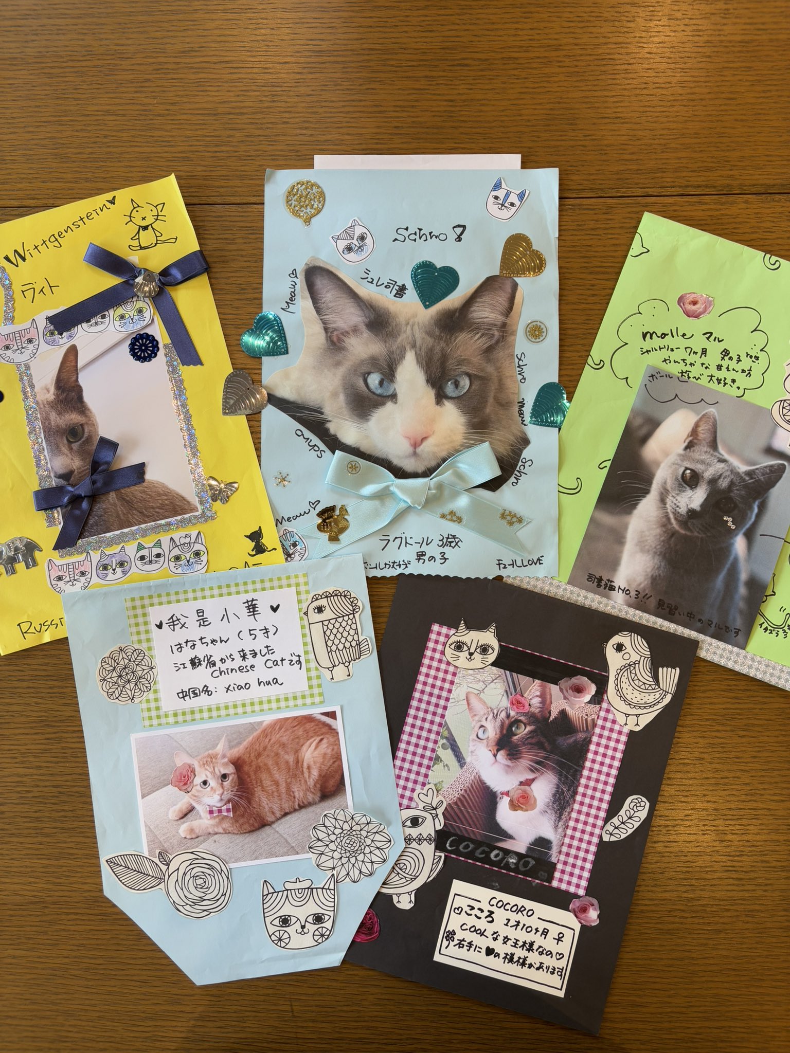 絵本まとめ売り55冊セット 3 4 5歳 1 2 3年生 ねこ・動物のお話（１） 20220602193826_1.jpg