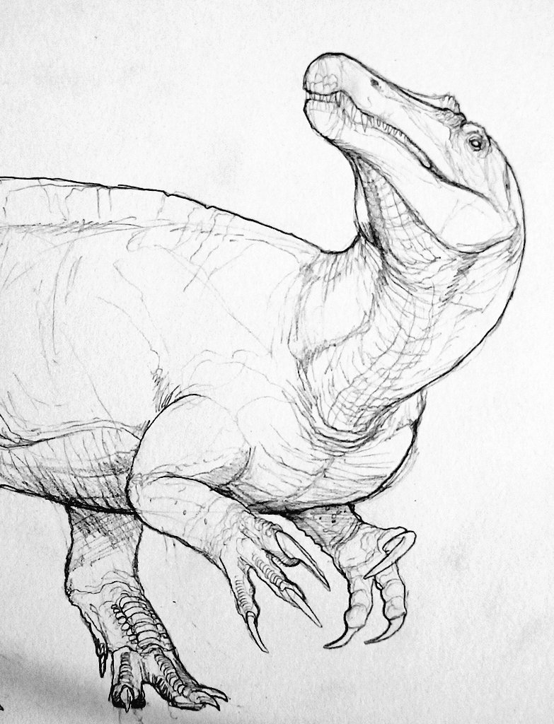 #Camarillasaurus ♥️✏️
