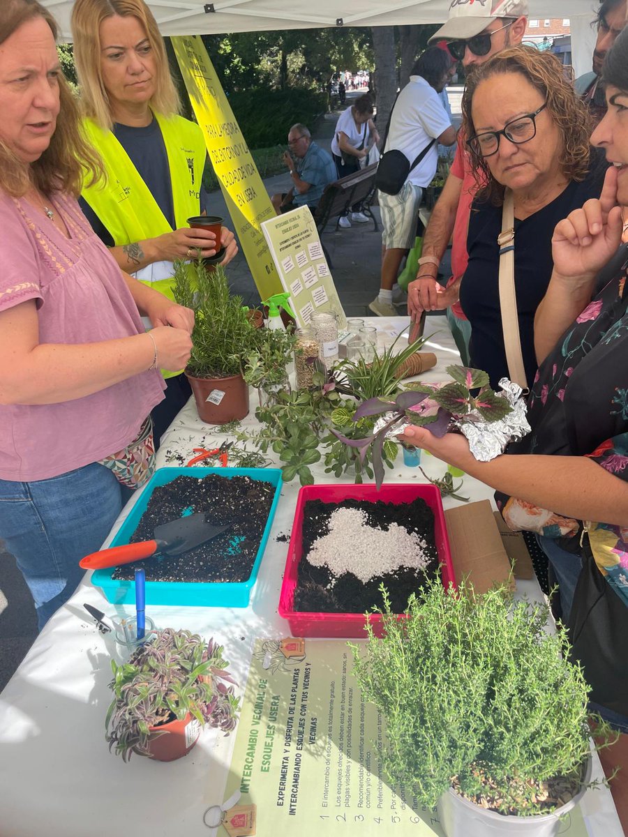 jmd_usera's tweet image. 📸Así de animada estuvo la jornada de intercambio  de esquejes, celebrada en la explanada de la @jmd_usera 
#Useraescucha
#UnidadesDistritalesColaboración
#Participación
🌱🪴🪴🌱