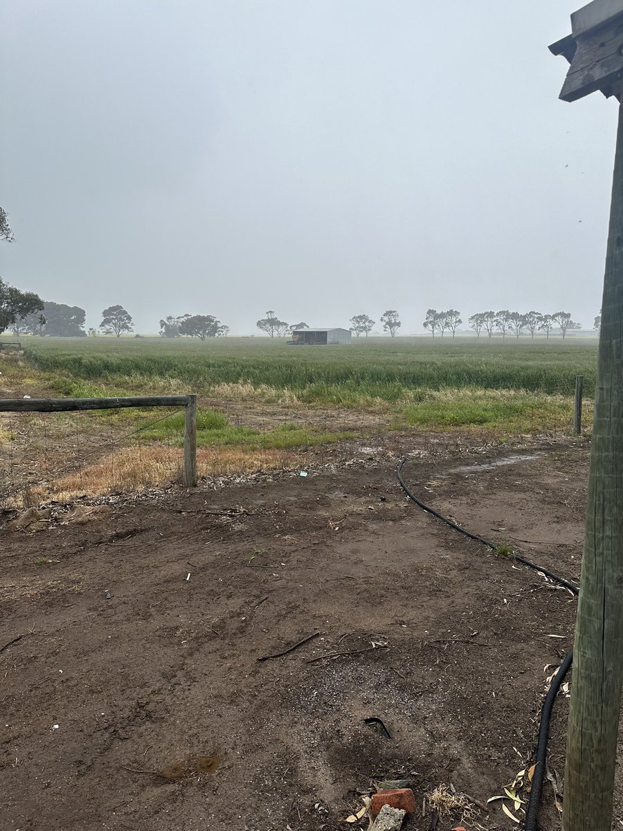 DaleBascomb's tweet image. ill take it, better than the northerly winds..