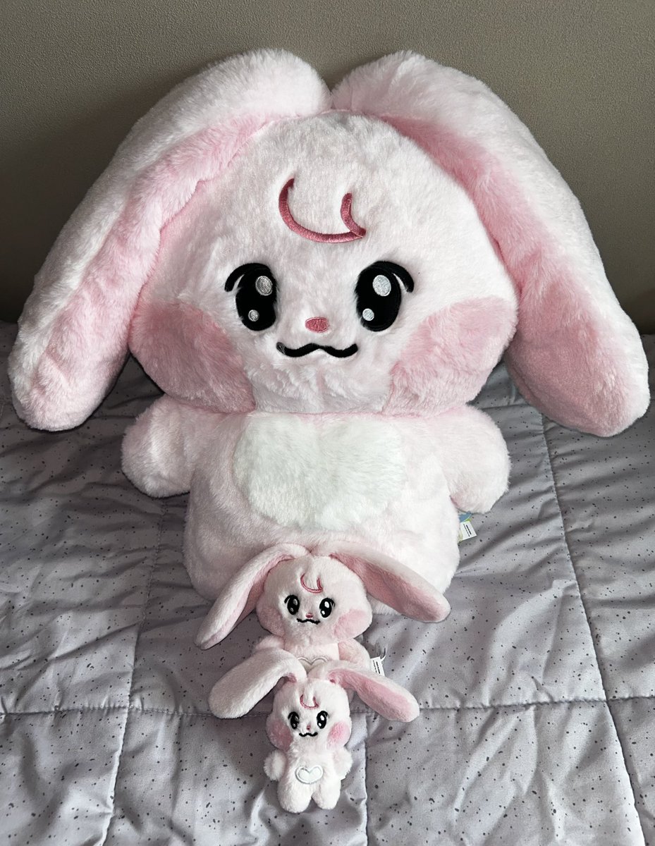 current Kkyuping size chart be like…

XS ➝ S ➝ Mega Final Boss XXXXL 

where did the middle sizes goㅋㅋㅋㅋ 😭💗🐰 i’m crying from how cute they are HELP