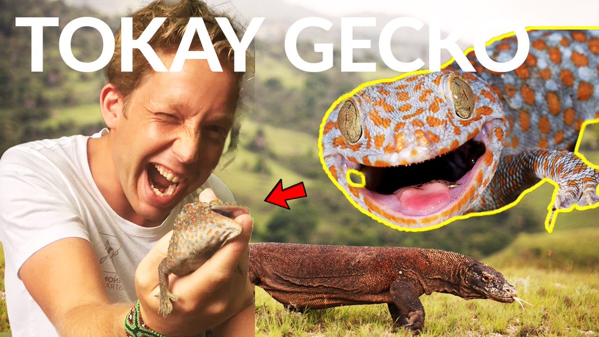 Jack Randall tweet media