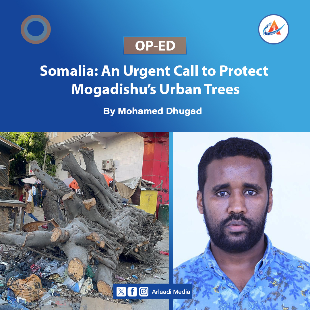 ⚡️OP-ED: An Urgent Call to Protect #Mogadishu’s Urban Trees. #Somalia

Read more 🖇️arlaadimedia.com/2025/09/19/op-…