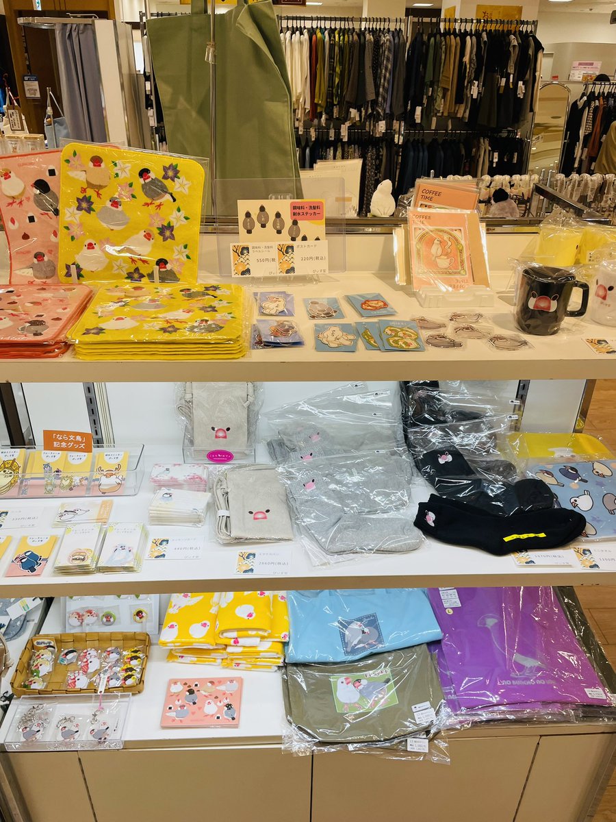 コトリアーケード@CAMPBUNとキャンプ！ (@kotoriarcade) / X
