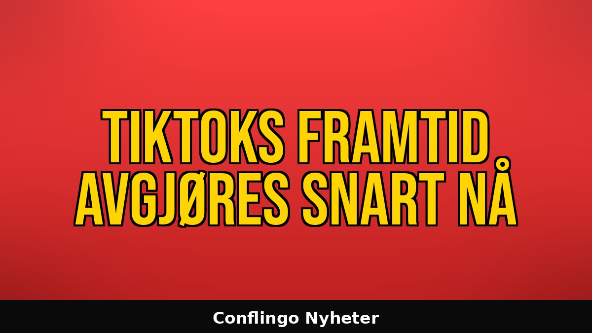 conflingo tweet media