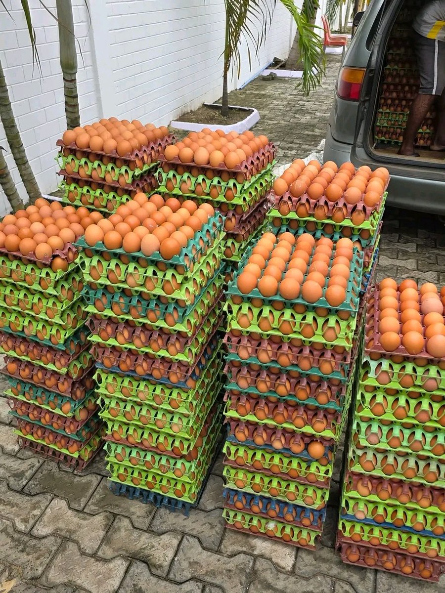 Hit_ICP's tweet photo. $ICP -On our journey to feed the #village,we have welcomed yet another partner to the #XtravagantVillageMovement's market.
Currently, we have
🔸️a restaurant 
🔸️a makeover studio
🔸️an egg shop,
and we're just getting started. Barely 2 months into this 15 yrs long experiment! https://t.co/E6ldfoL6jQ