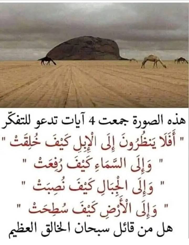 سبحان الخالق المصور 
سبحان الله العظيم 
اللهم صلّ وسلم وزد وبارك على نبينا محمد ﷺ 
#يوم_الجمعة