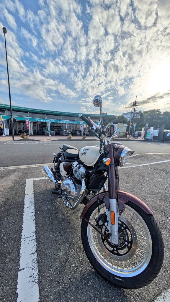 ryuページです⭐︎ Greco VB-650（中古）【楽器検索デジマート】
