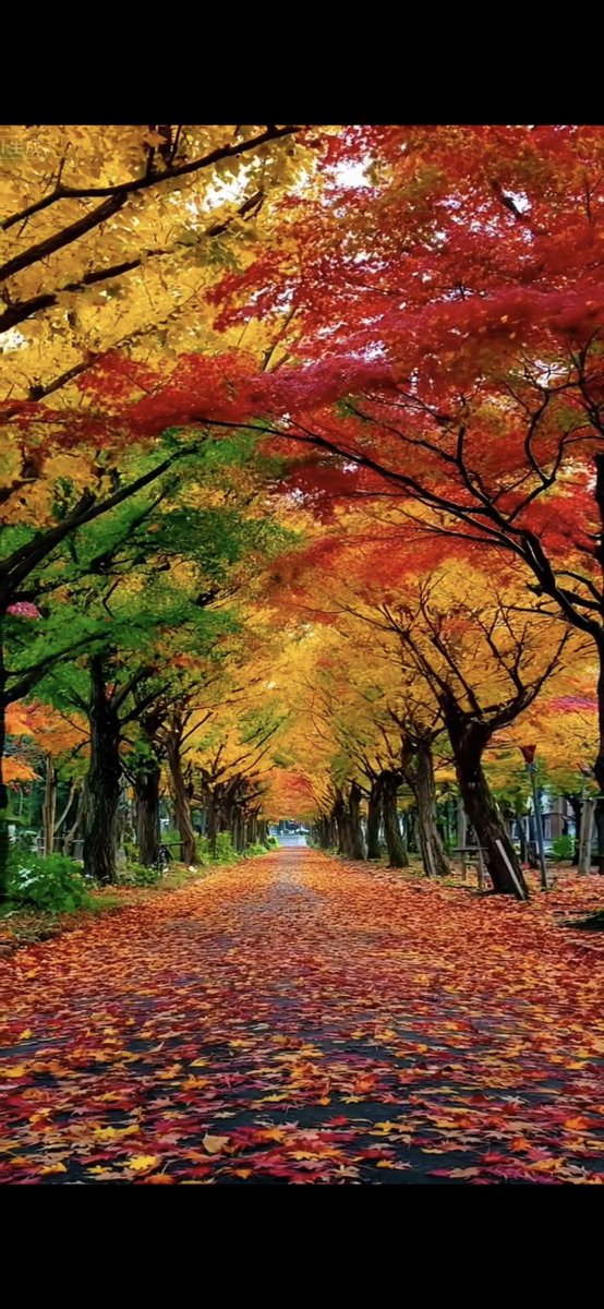 Happy Friday dear X friends.
#AutumnVibes #Friday
