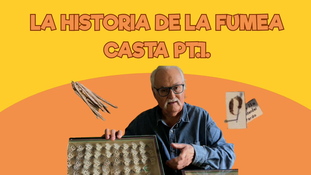 🦋 La historia de la Fumea Casta pt.1

👦🏼 Qué cosas me pasaban de niño…

#ZoodeSantillana #SantillanadelMar #Cantabria #Zoo #CuidadorporunDía #Niños #PlanesconNiños  #venalZoodeSantillana #viviendoenunzoo #mariposa
youtu.be/vVdP8KeT90U