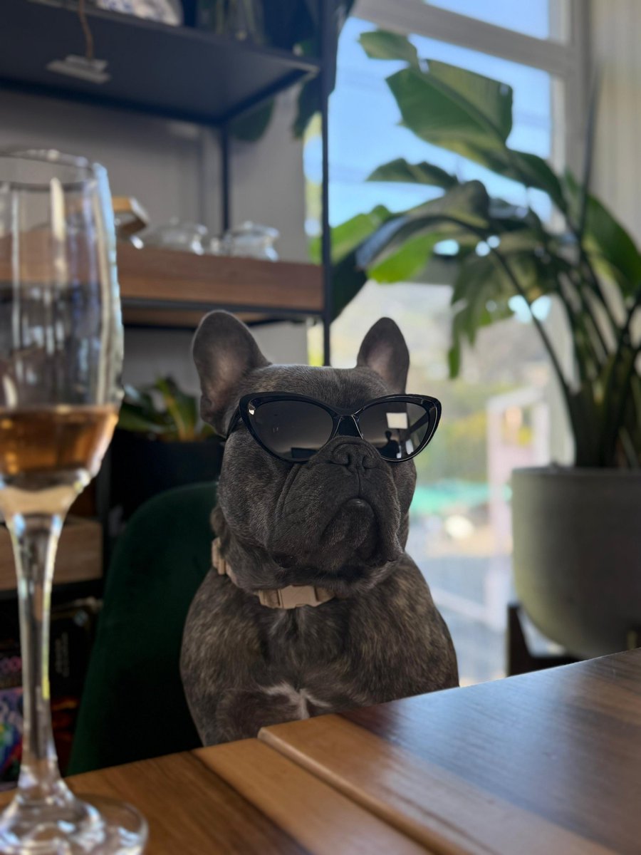 LinumLabs's tweet image. First, gm then Happy Friday! 👯‍♂️
Take this as a sign to paws a little 🐾 

Here’s the doge-cool 😎 COO (Chief Out-of-Office) Blue 🐕 staying cool as we keep building. 

CC our OG COO @Devkrz

#LinumLabs #FridayVibes #TeamCulture #Web3Community #DOGE