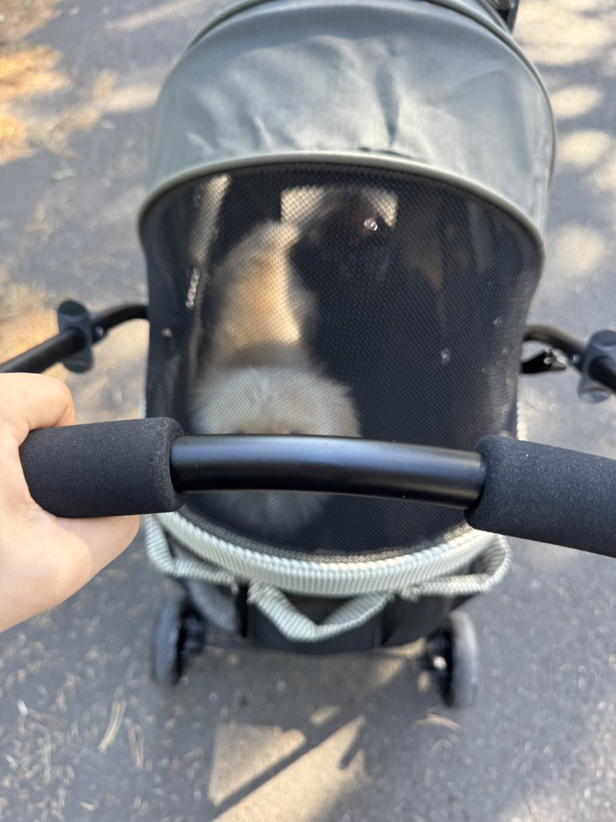 ぺこたんとエメ tweet media