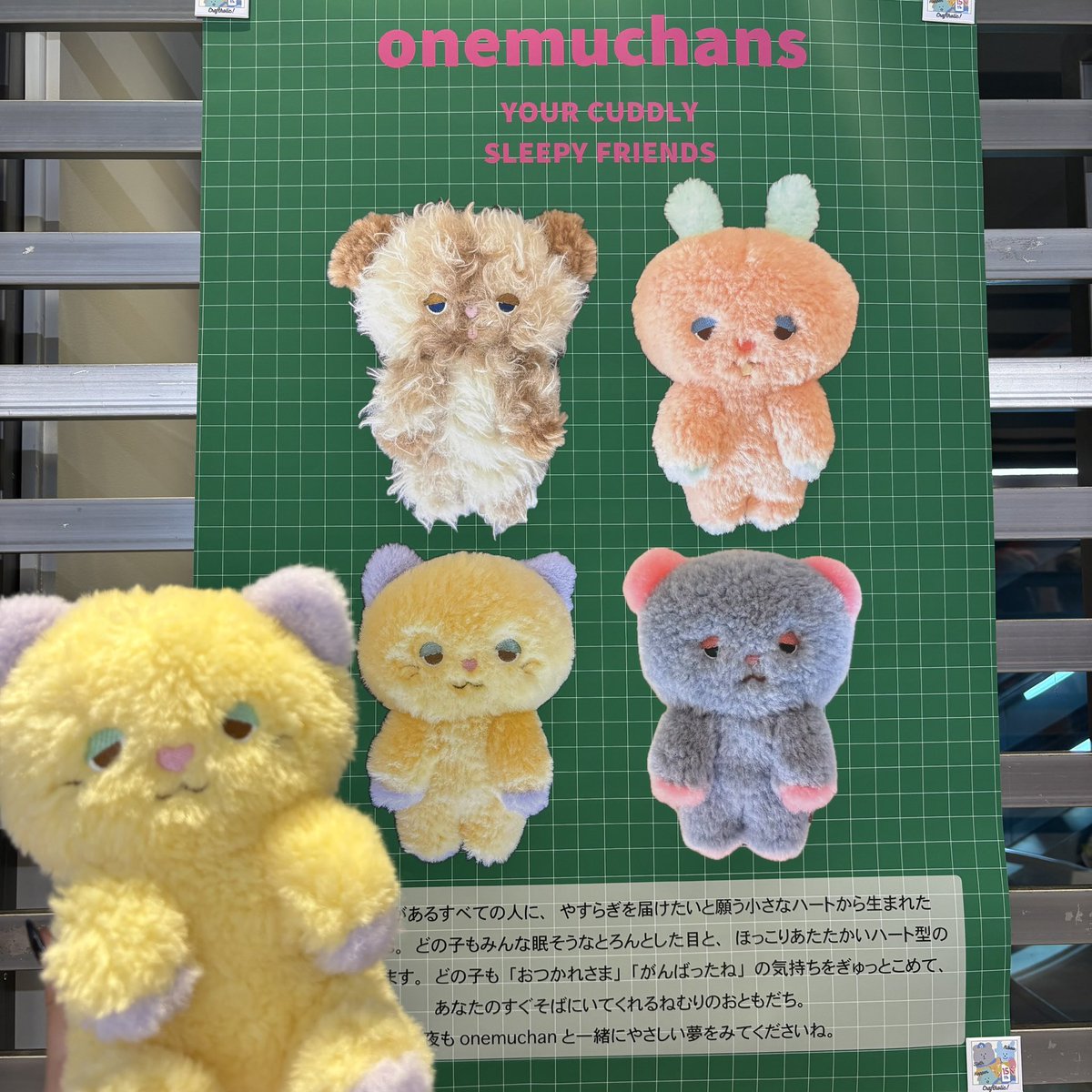 MOFMOFRIENDS【公式】 (@_MOFMOFRIENDS_) / X