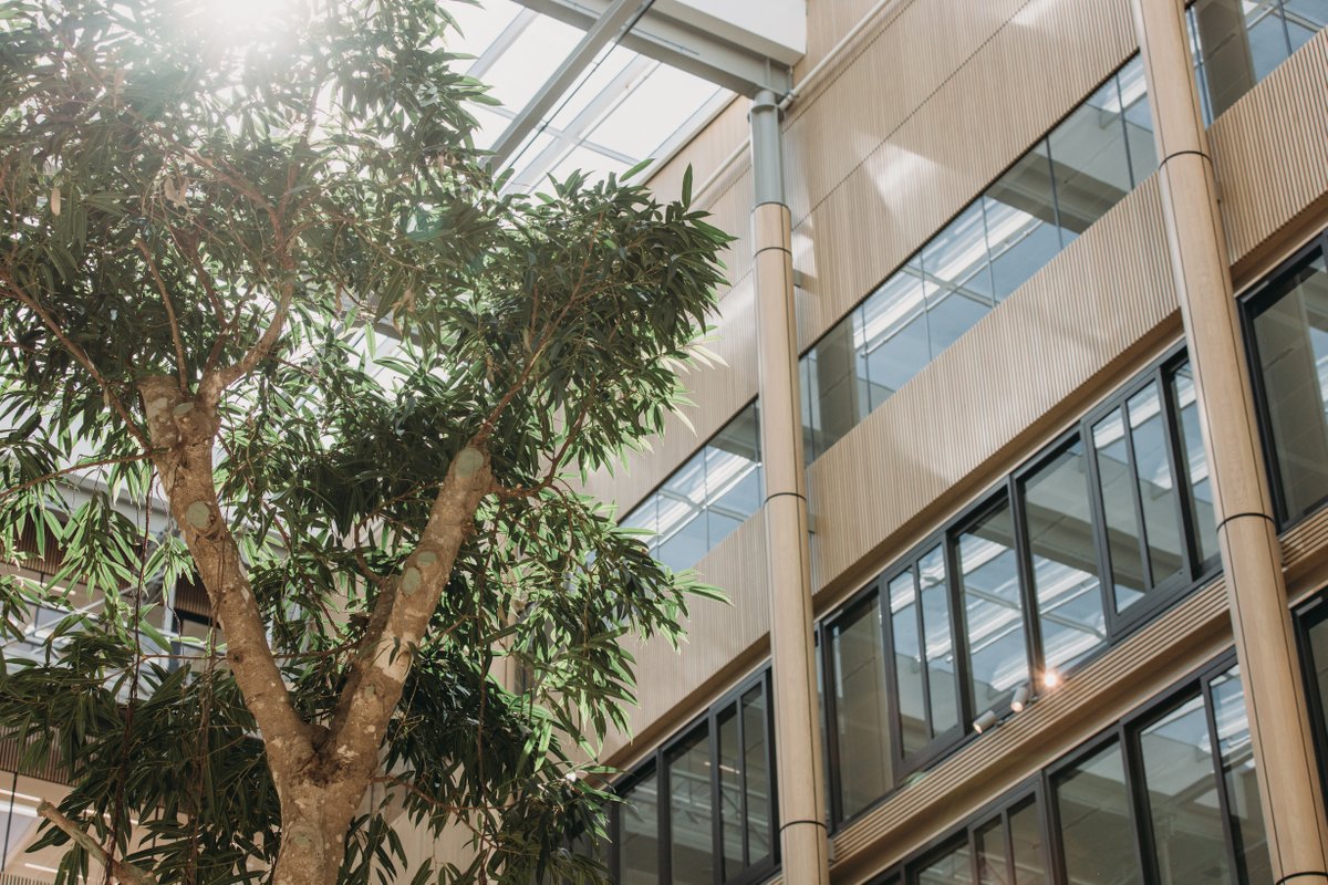 Edge_Workspaces's tweet image. 🌳 Here are our beloved EDGE Workspaces trees - the lungs of our venues.

🤔 Which one is your favourite?
1. Stadium | Amsterdam
2. HafenCity | Hamburg
3. Grand Central | Berlin

#EDGEWorkspaces #WhereWellbeingWorks
