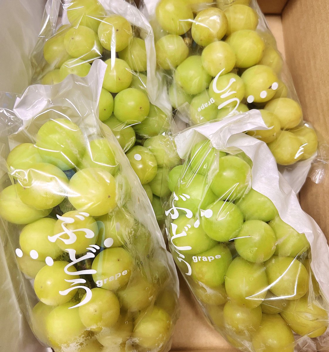 美味しいシャインマスカット頂きました
オイちゃんマスカットは断然
マスカットオブアレキサンドリア派なんだけど
ほとんど見かけなくなって淋しい😥
すてきな1日を！！