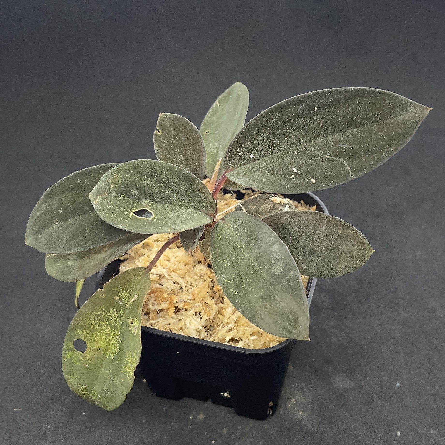 AZUL Aquarium (@azulaquarium) / X