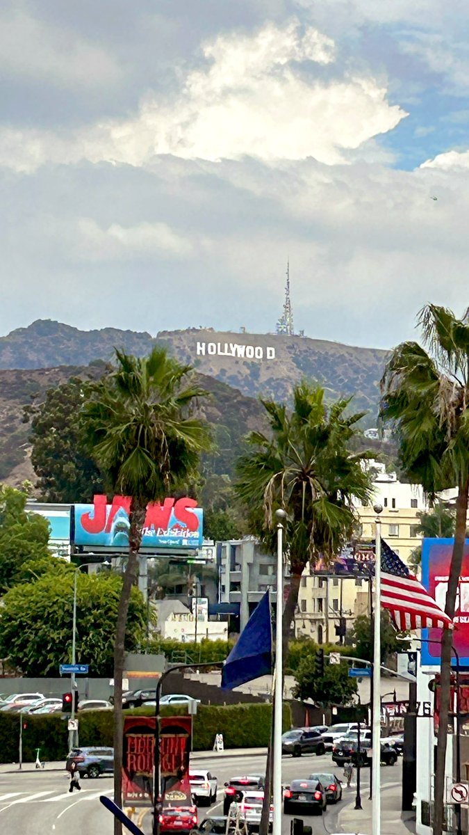 シャル tweet media