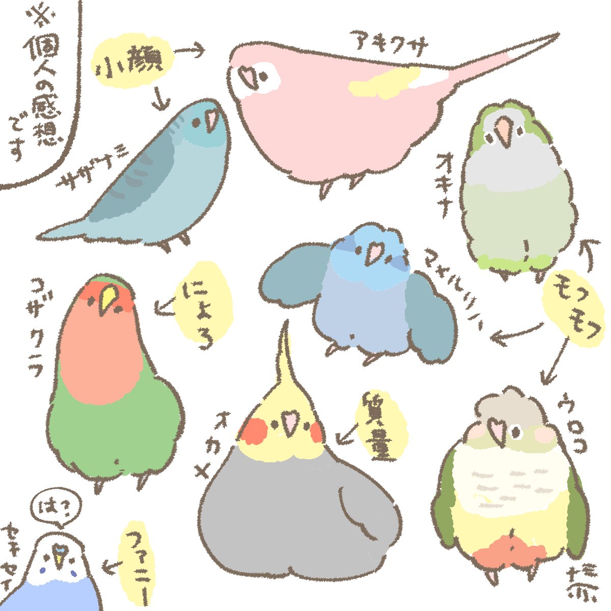 おはようございます☀️
9月20日(土)の朝です。

私が絵を描くときの各とりさんへのイメージ 