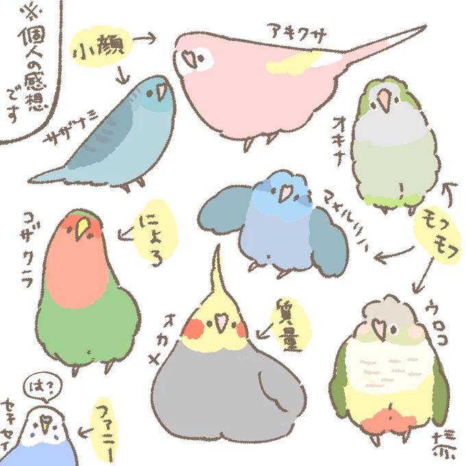 おはようございます☀️
9月20日(土)の朝です。

私が絵を描くときの各とりさんへのイメージ 