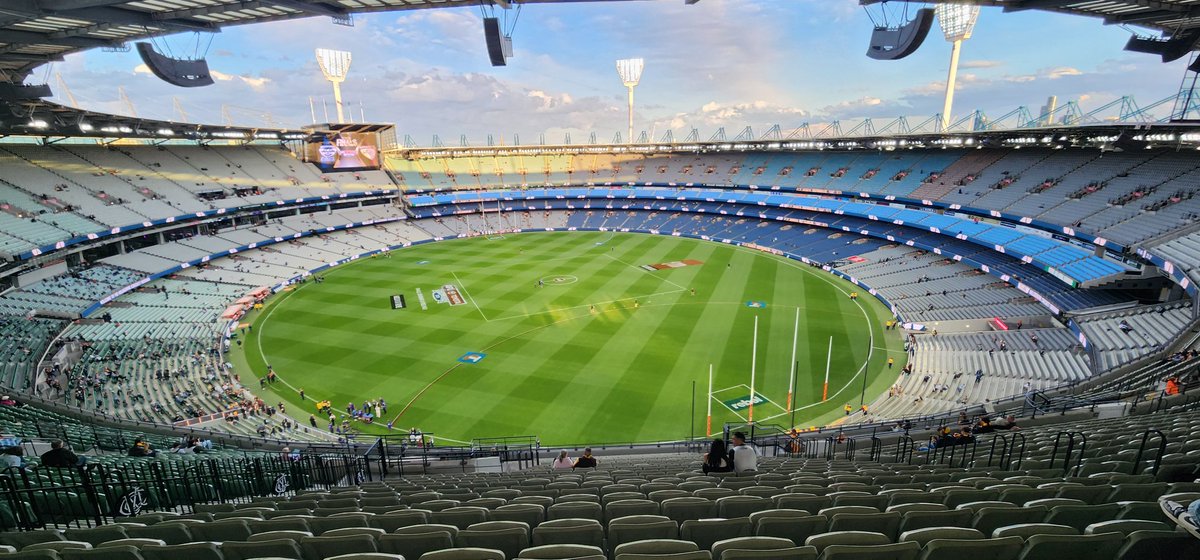 🐱 Donna ⚡ tweet media