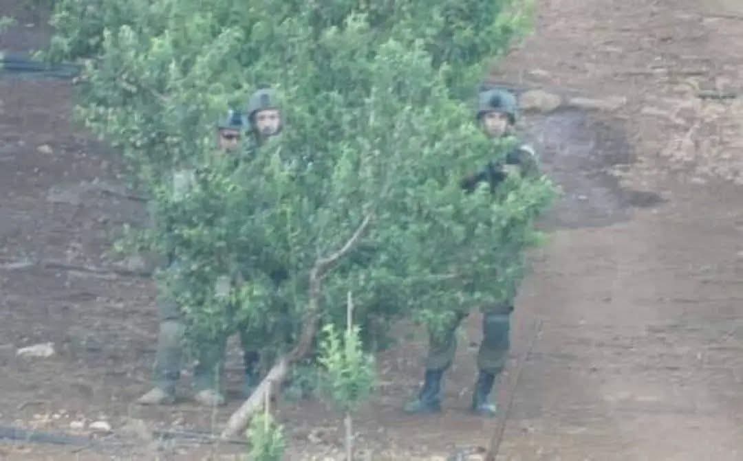 ‘The Hour will not begin until the Muslims fight the Jews until a Jew hides behind a rock or a tree, and the rock or tree will say
O Muslim, O slave of Allaah, there is a Jew behind me, come and take him.”
Except the Gharqad (a thorny tree)for it is one of the trees of the Jews.