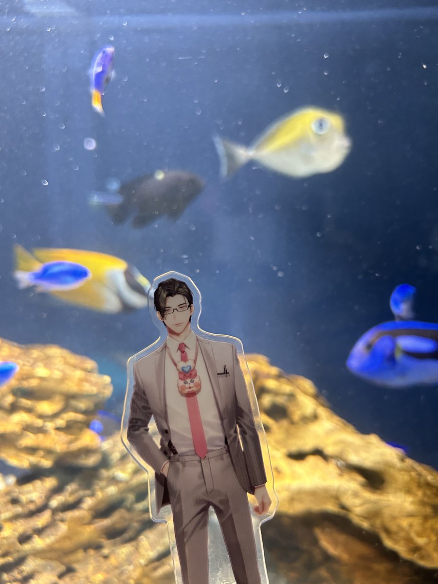 okan_0927's tweet photo. #五木に報連相
水族館行ってきたよ〜 https://t.co/4cSdGMEvEu