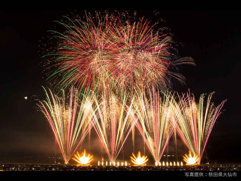 🍁芸術の秋、夜空に咲くアート🎆／ こんにちワン🐾あきおだよ！ 夏の