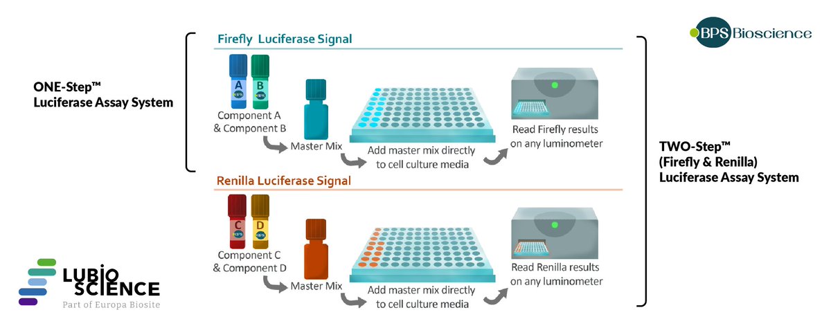 LubioScience's tweet photo. Explore high-sensitivity Luciferase Assay Systems designed for high-throughput at competitive prices 🔬✨
Learn more about BPS Bioscience Luciferase Assay Systems 👉 https://t.co/yBNaW2WfVk https://t.co/a7DpoX0YcL