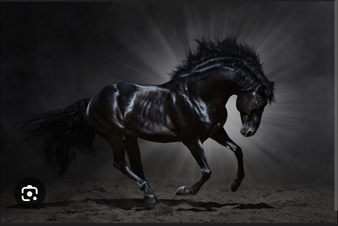Get Ready ... Dark Horse 🔥
Next Week 

I ll Drop 3 Pm 
Retweet maximum Till 2.30 Lock Time 
BTST 
Target 😋 x   x 
#Nifty #sensex#Banknifty#Investing
