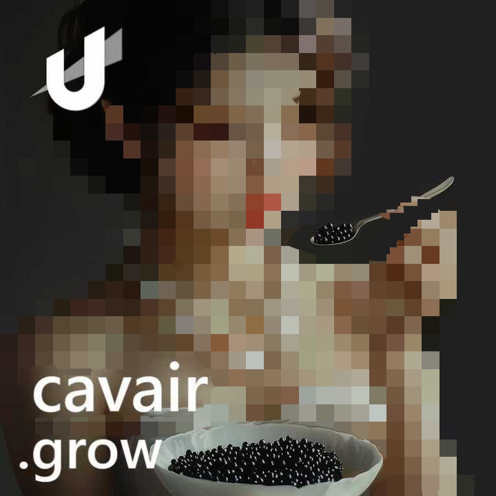 mike.austin tweet media