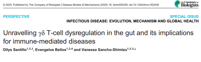 Happy to share that our perspective piece on the implications of γδ T-cell dysregulation is out now! <a href="/SanchoShimizu/">Vanessa Sancho-Shimizu</a> <a href="/ebellos/">Evangelos Bellos</a> <a href="/Co_Biologists/">The Company of Biologists</a>