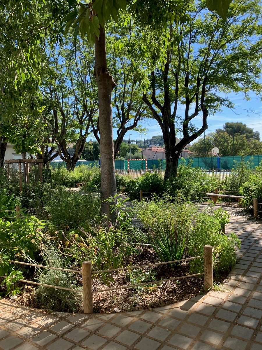 🌸 Accueil du jury des #VillesEtVillagesFleuris ce matin à Toulon 🌿
Fière de nos 🌼🌼🌼depuis 2017, nous cultivons une ville durable, solidaire et plus verte chaque jour. Chaque bulbe planté à Toulon est une promesse de mieux-vivre.
💚 #Toulon #NatureEnVille