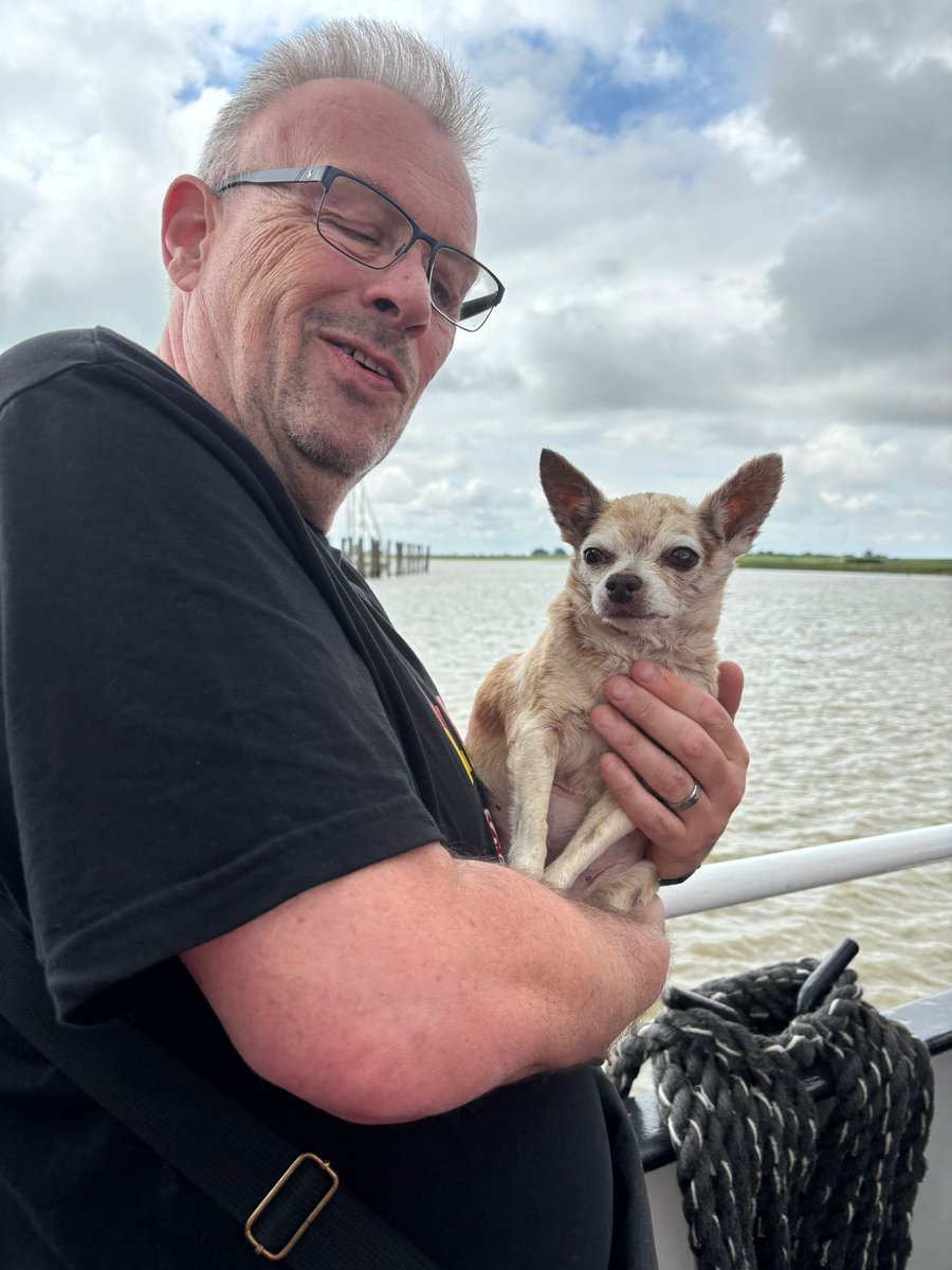 Heute um kurz nach 12 hat das riesengroße Herz in diesem kleinen Hund aufgehört zu schlagen. Lasst ihr Linus bitte nochmal durchs Rudel flitzen? #twitterrudel