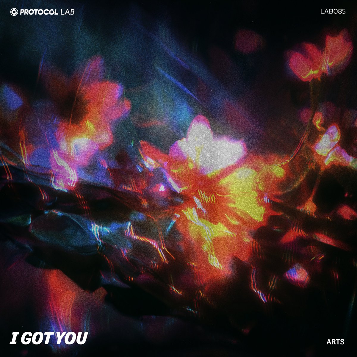 ProtocolRec's tweet image. Arts is back with a new banger! "I Got You" is OUT NOW 💥
Listen ➜ prot.cl/lab_i-got-youYo
Watch ➜ youtu.be/A56UgDl3_XY