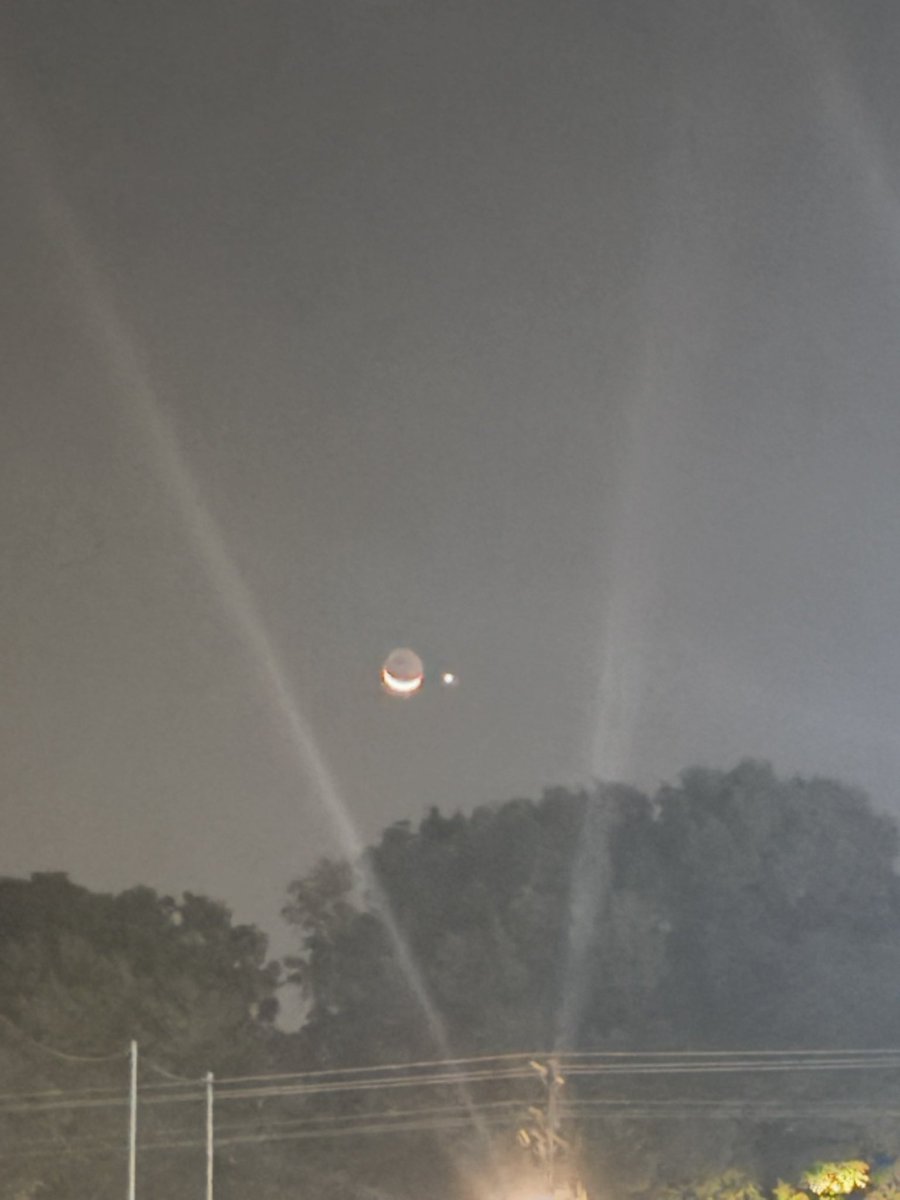 Reid Lanigan tweet media