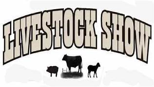 Summer Livestock Show Student Success miamieast.k12.oh.us/o/mels/article…